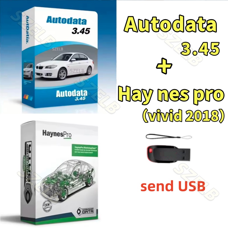 Auto Repair Shop Software - Haynes Pro (Vivid 2018) terbaru dan